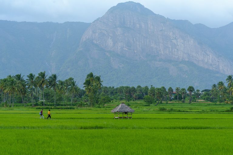 Kerala’s Hidden Gem