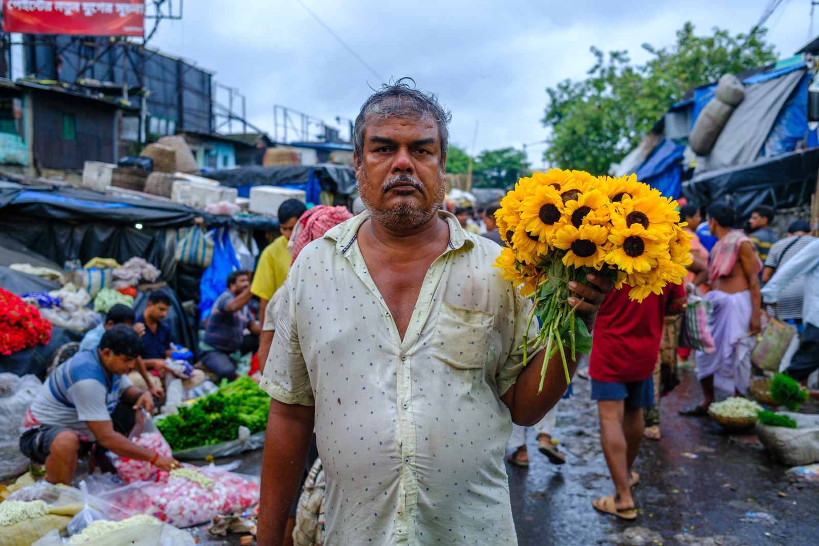 Guardian of the Market